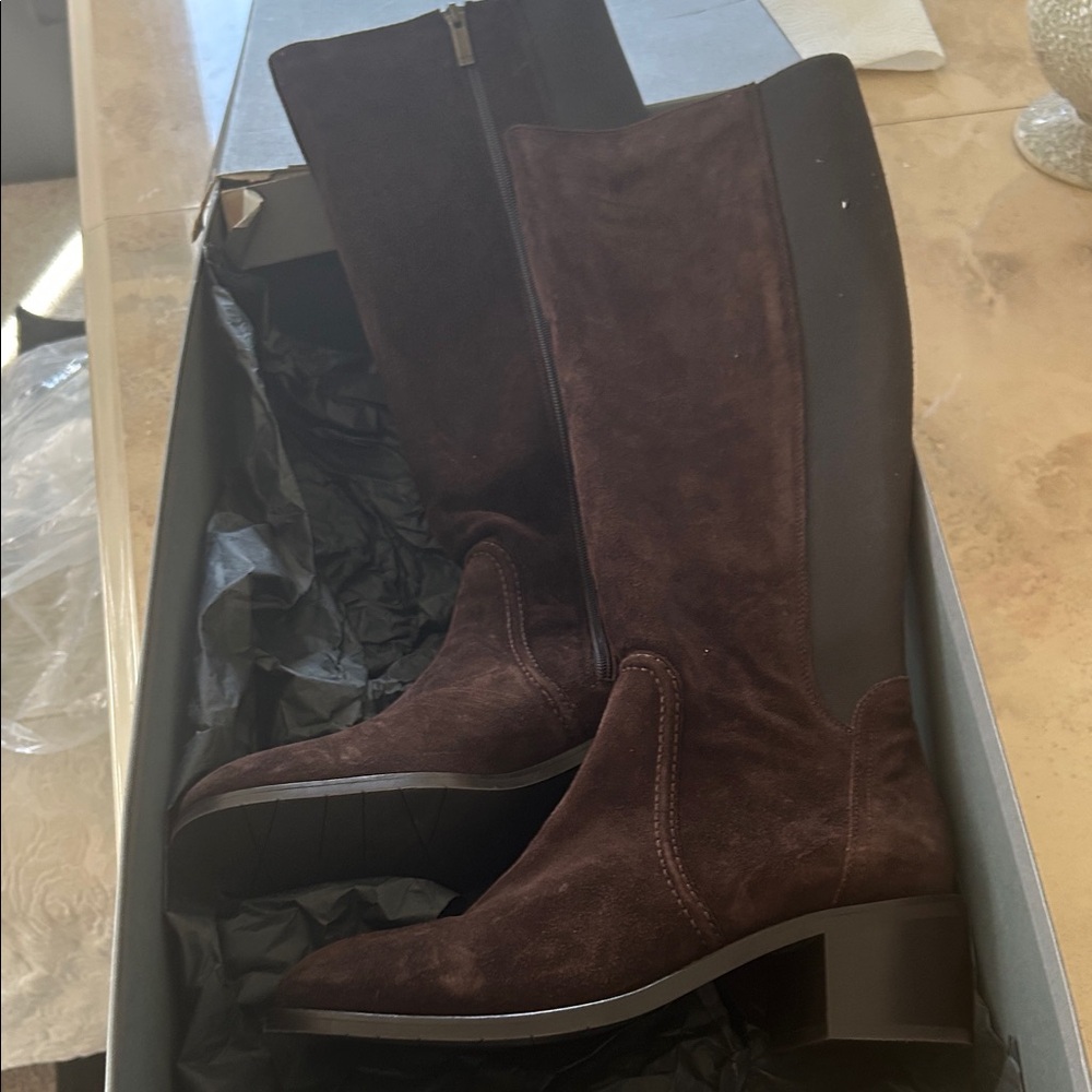 Aquatalia Brown Suede Knee-High Boots